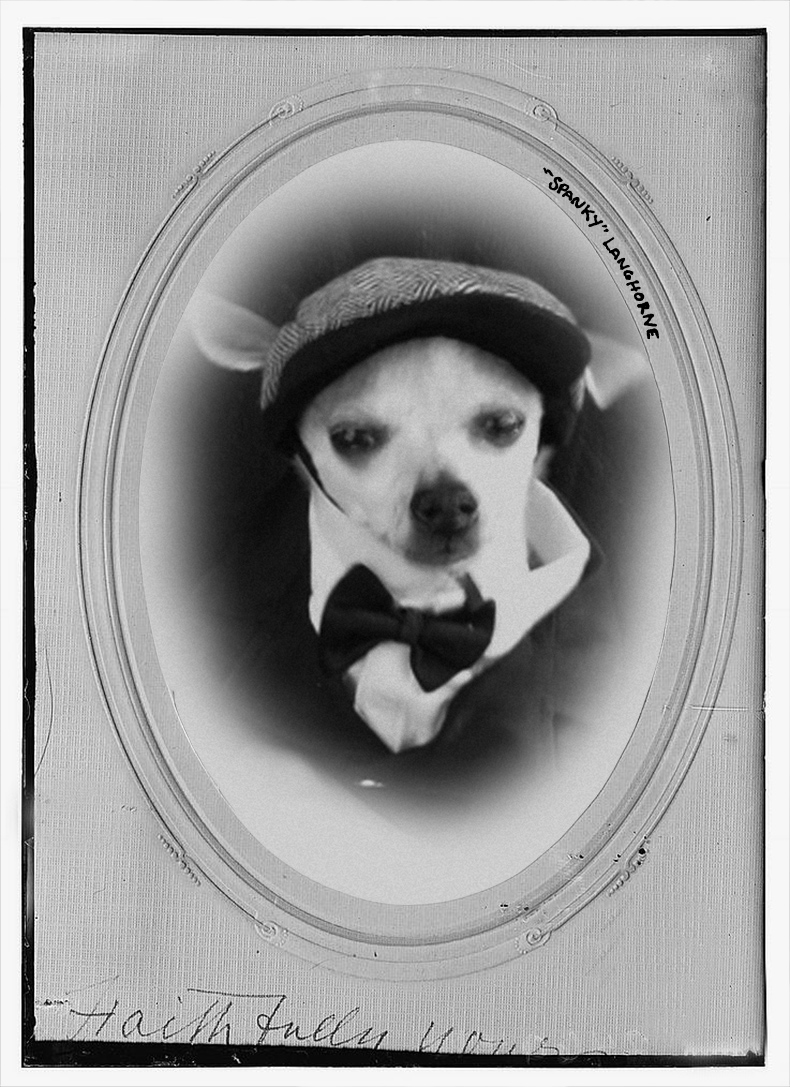 tip-history-spanky-langhorne