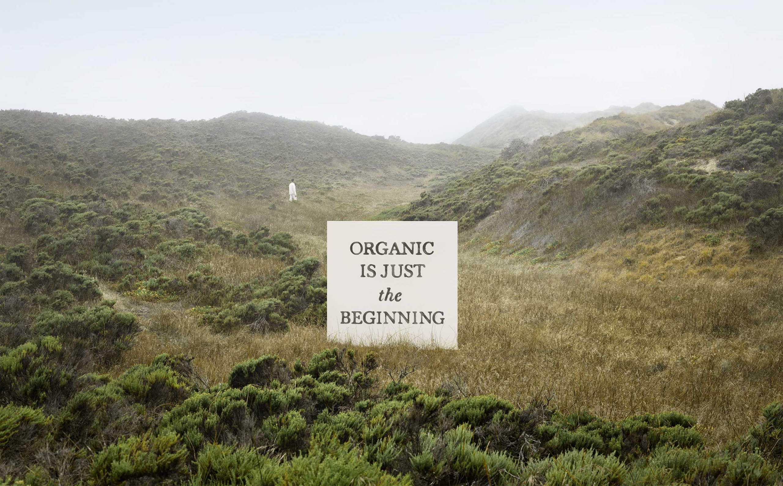 Photo of a green, grassy meadow with a foggy sky shot on the coast of Washington state. A person wearing all white is seen walking in the middle distance with a large, square concrete sign in the near center reading, “Organic is just the beginning”.